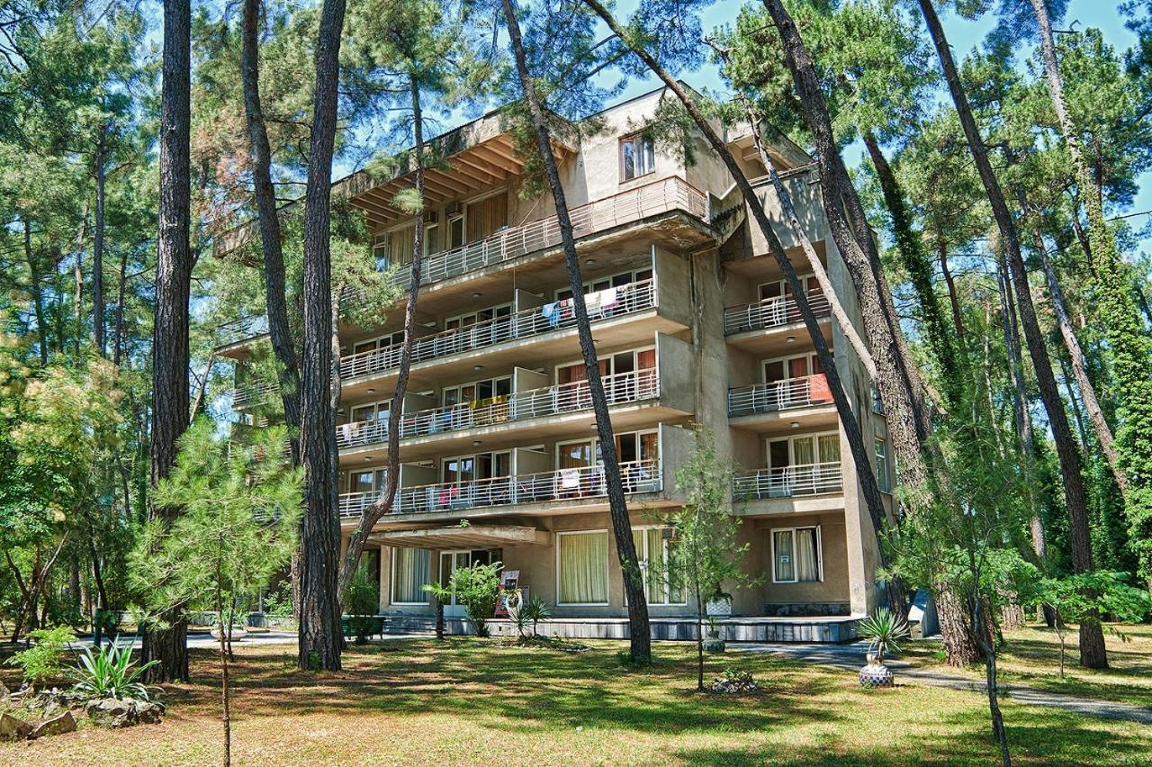 Gosdacha Ldzaa Lidzava Exterior photo